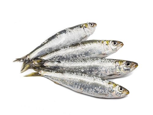 Sardinas(Kg)