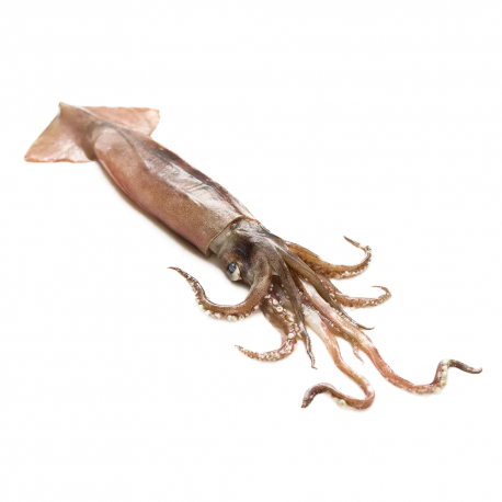 Calamares(Kg)