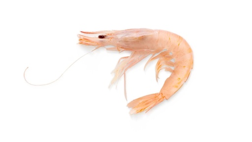 Gambas (Kg)